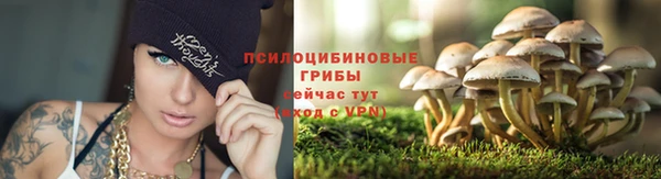 метадон Беломорск