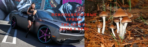 метадон Беломорск