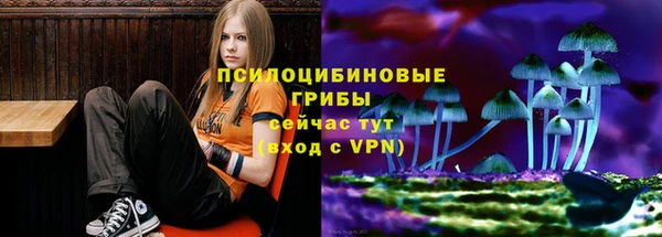 соль ск Белокуриха