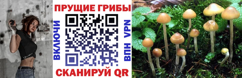 Купить где  Харабали  Галлюциногенные грибы мухоморы 