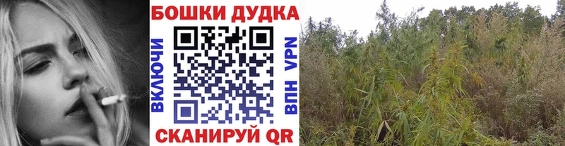 Шишки марихуана семена  Купить закладки  Харабали 